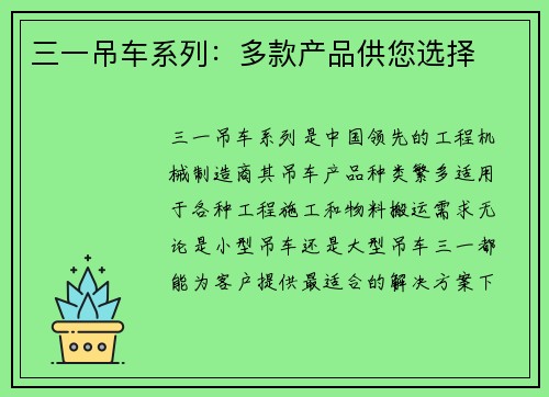三一吊车系列：多款产品供您选择