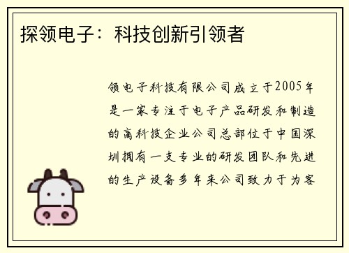 探领电子：科技创新引领者